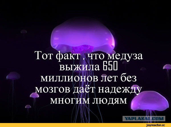 Комментарии от пользователей, которые заслуживают награду «Гении сарказма»