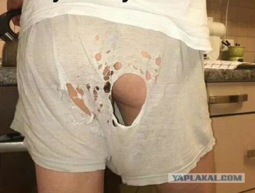Труселя