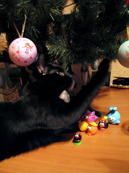 Новогодний КОТОВТОРНИК!
