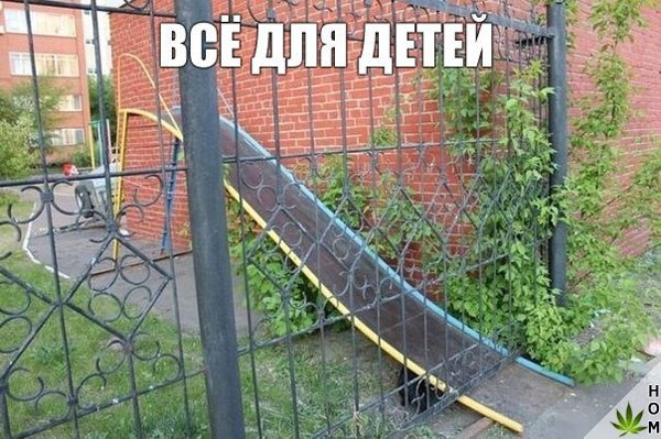 Прикольные картинки обо всем