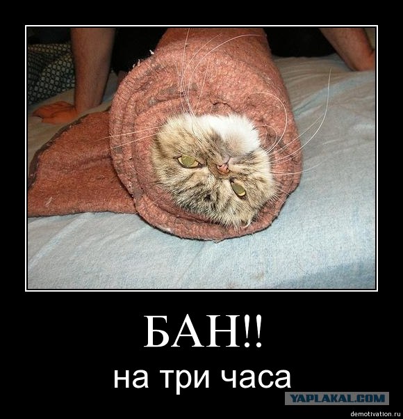 Эти глаза напротив