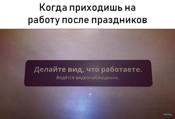 Веселые картинки когда...