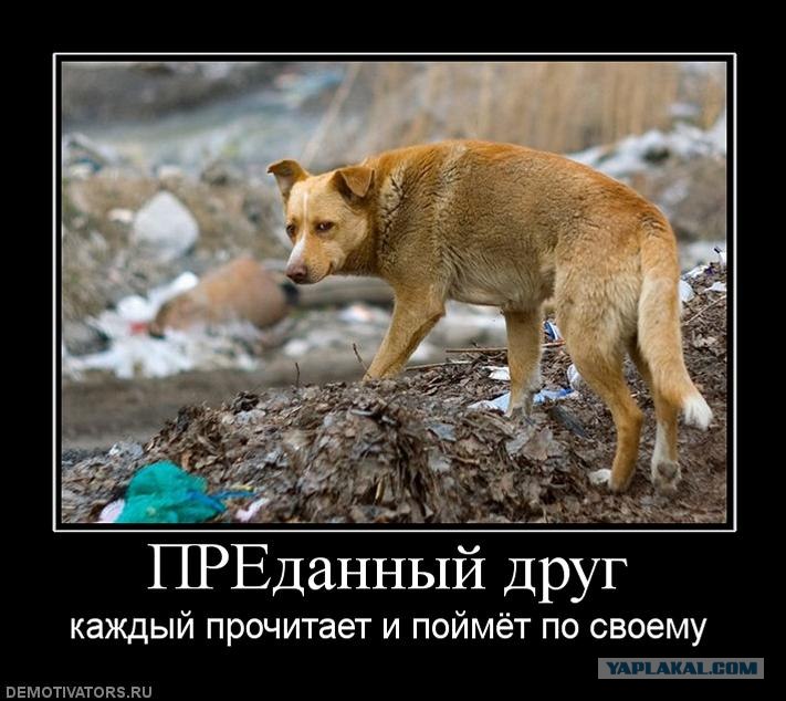 Друг Предал Картинки