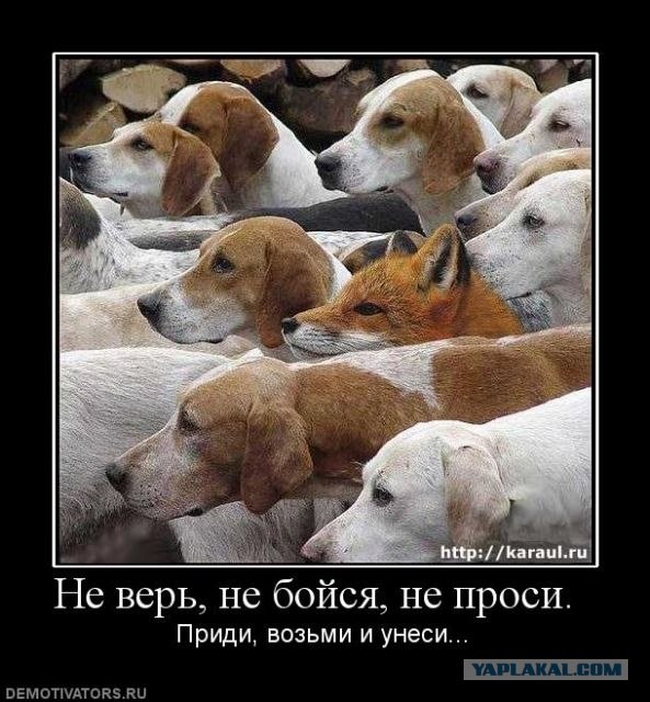 Искусство сливаться с толпой