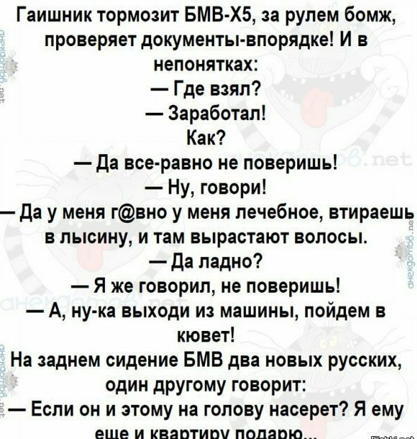 Анекдоты, соц-сети и картинки с надписями