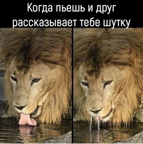 Немного картинок для настроения