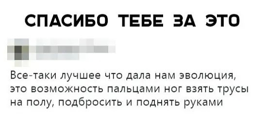 стырнета