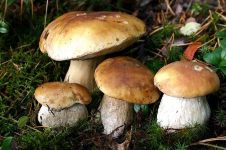 30 душевных фотографий, чтобы отдохнуть, помечтать и улыбнуться