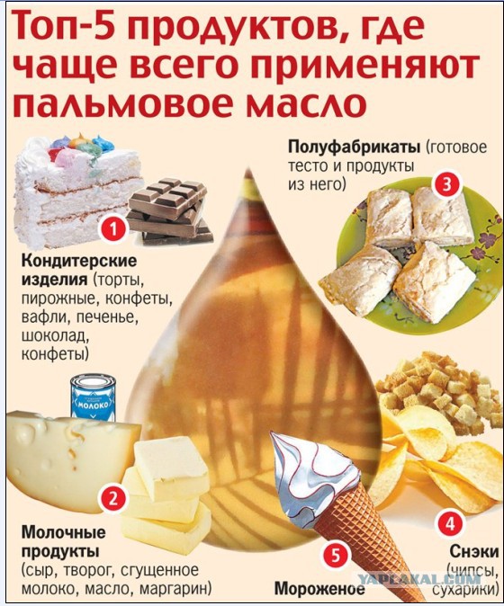 Как России слезть с «пальмы»: Почему вместо нормальных молочных продуктов нам предлагают суррогаты на основе пальмового масла