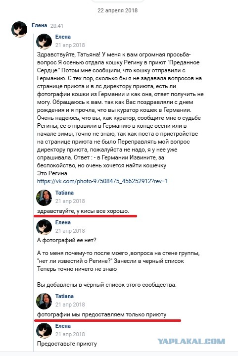 Помогите вернуть кота! Приют "Преданное сердце" украл кота и не отдает!-2