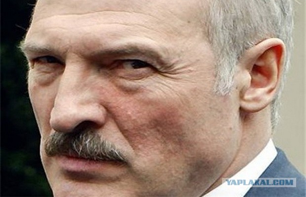 Белоруссия ввела экологический налог на транзит нефти по своей территории