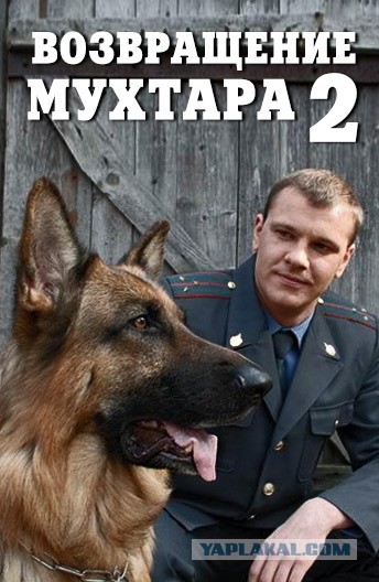 Джерри Ли и K-9