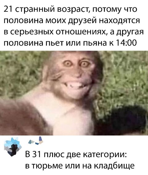 Бредзона 17.02.2020