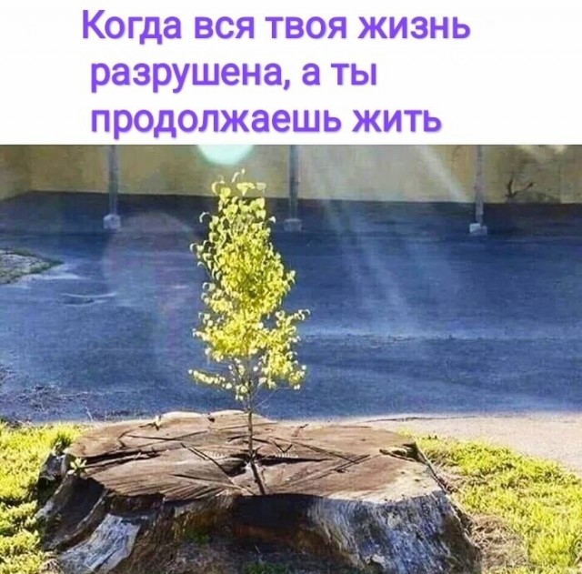 Немного картинок для настроения 77