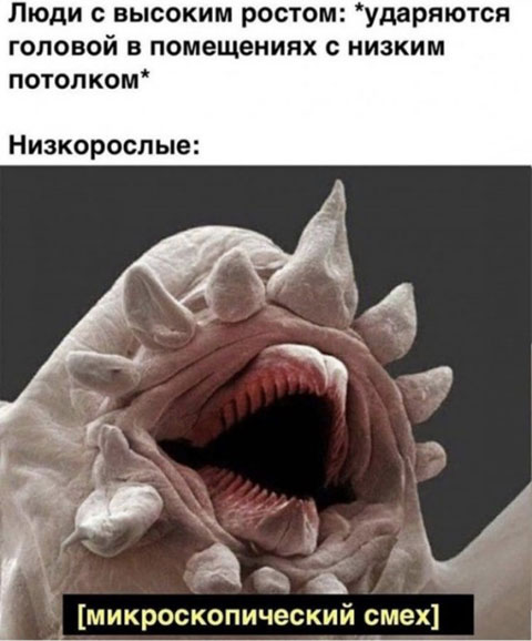 Так себе картинки 13.06.20