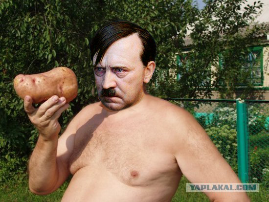 Огородник и урожай