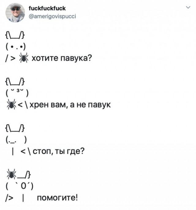 Упустил паучка