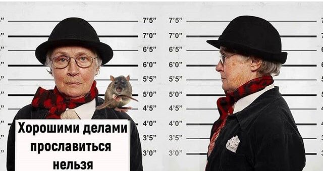 Беларусь. Взгляд женщины изнутри
