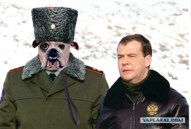 Бравые ребята