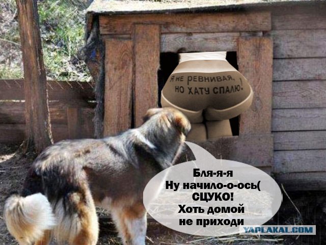 Фотожаба: Собака с Девушкой
