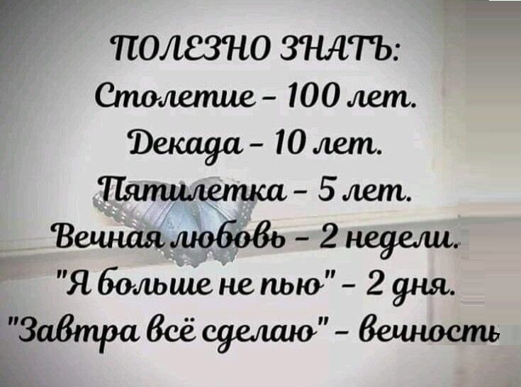 15131315.jpg
