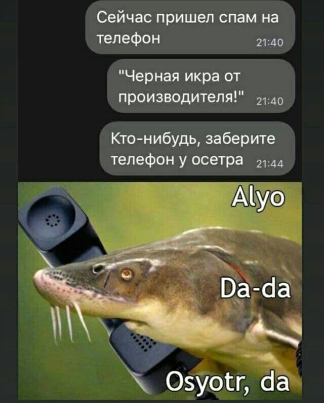 Не очень адекватный юмор