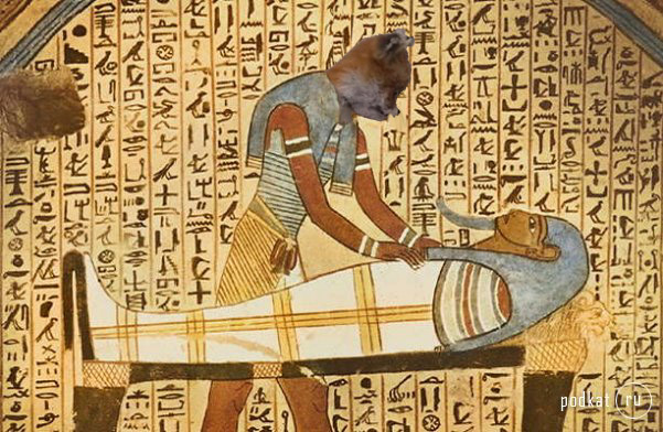 Таксидермия + наркомания