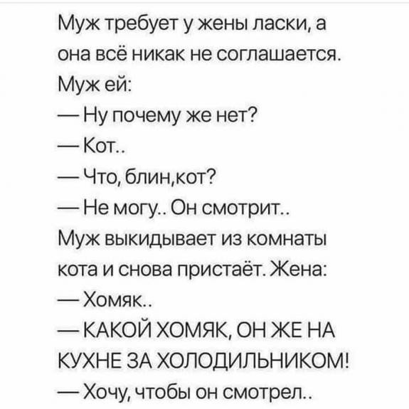 В постели с котом