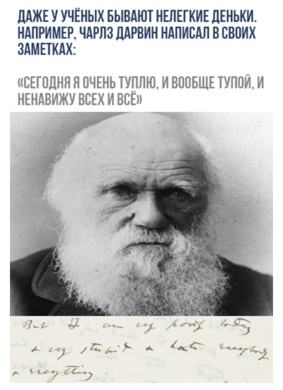 Так себе картинки 13.04.21