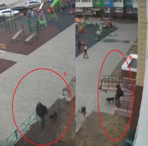 Наказание за неправильную парковку