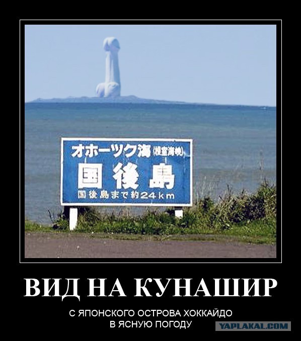 Путин решил заинтриговать японцев «беспрецедентными» идеями по Курилам