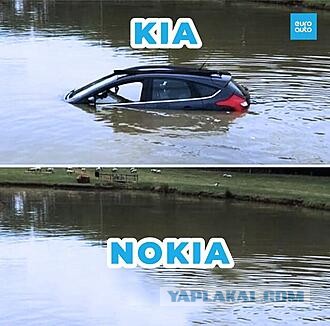 Весёлый полтишок 11.09