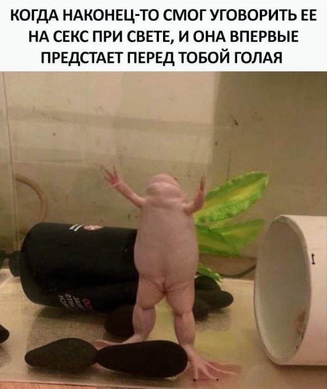Картинки и мемы для настроения 09.12.2021