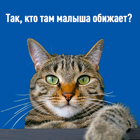 Страшный кусь