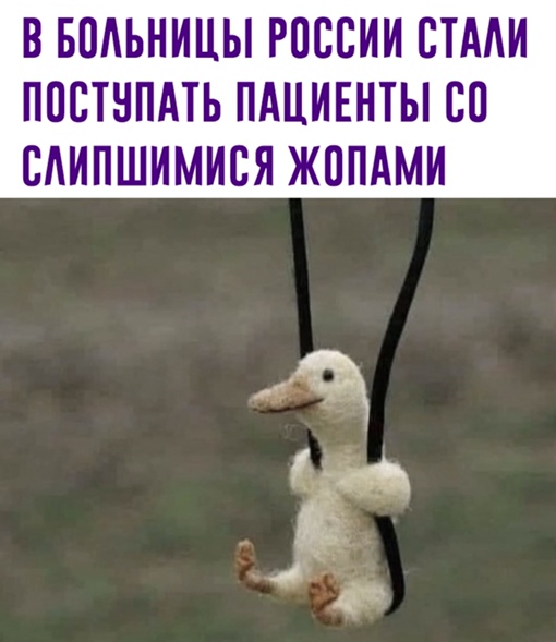 Картинки и мемы для настроения 31.03.2022