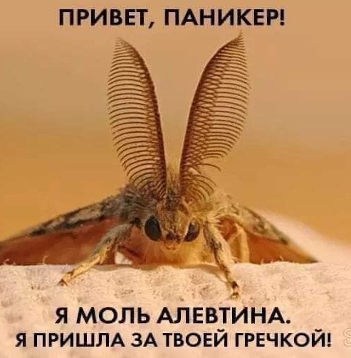 Так себе картинки 28.04.22