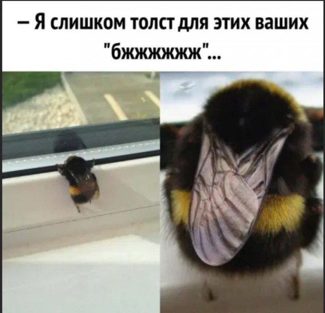 Так себе картинки 12.05.22