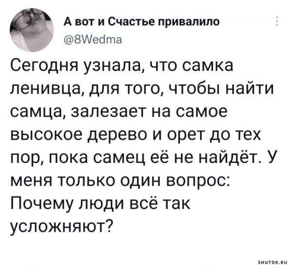 Так себе картинки 17.07.22