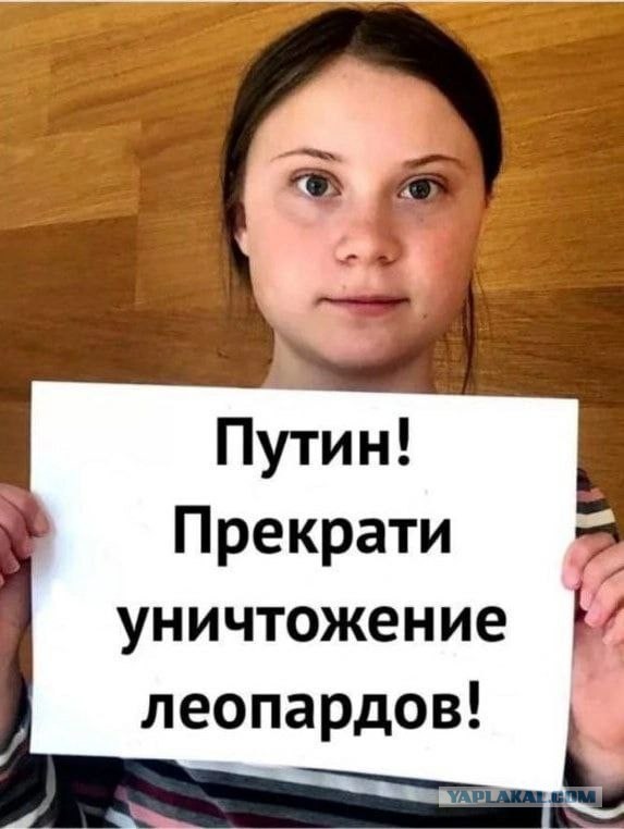 Видео уничтоженных Леопарда и Бредли