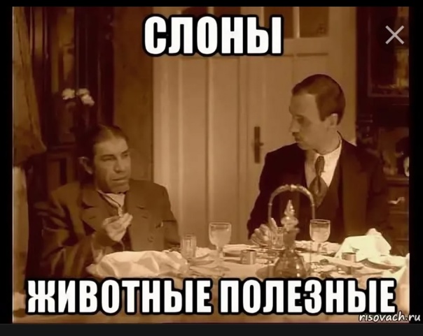 Снова о слонах