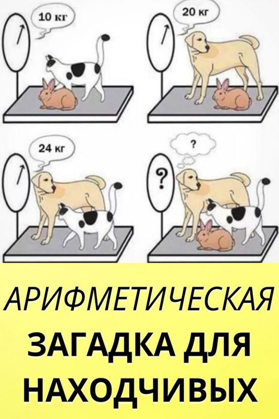 Так себе картинки 24.07.23
