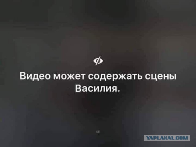 Жертва домашнего Василия