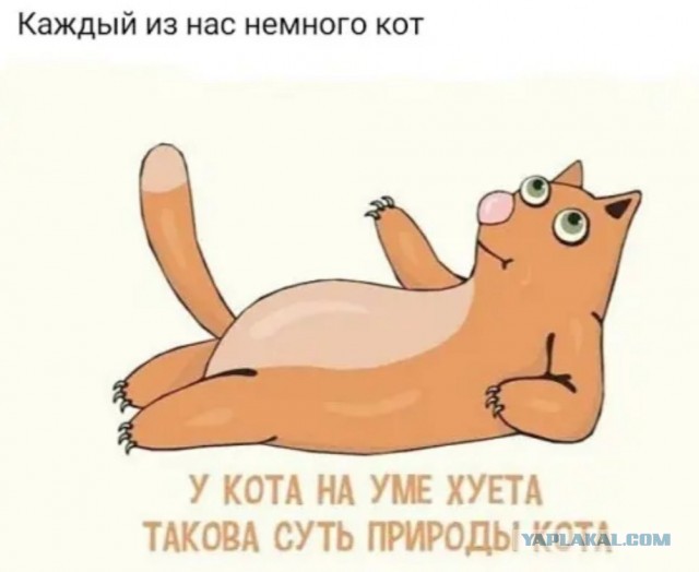 Картинки неразобранные