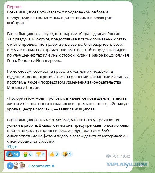 Глава таджикской диаспоры Баха Хасанов в подмосковном Пушкино был избран депутатом
