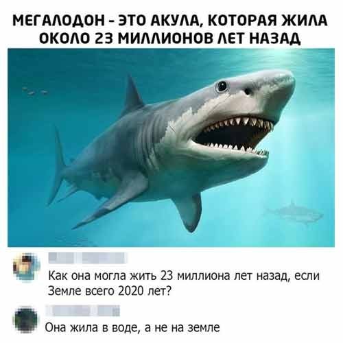 Завалялось тут случайно немного забавных картинок