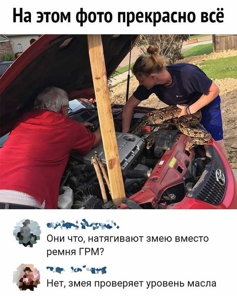 Так себе картинки 04.11.24