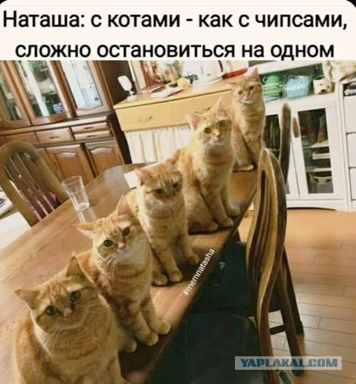 Так себе картинки 21.12.24
