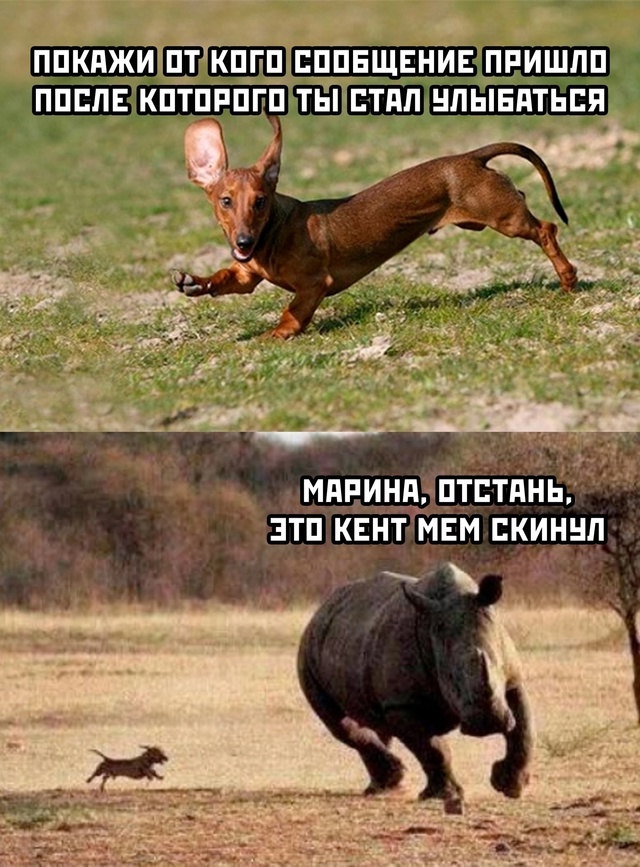 Веселые картинки в последний день января (31.01)