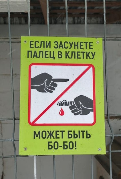 Как мы с семьёй не просрали воскресенье
