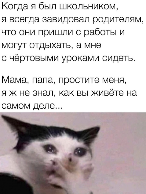 Весёлый полтишок 13.07.25